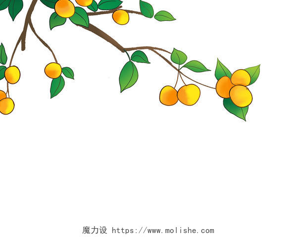 彩色手绘卡通橘子树柿子树秋天果实元素PNG素材